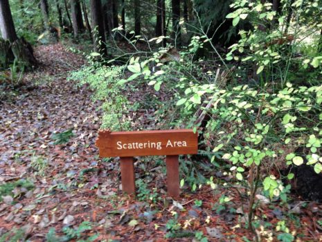 Scattering Area